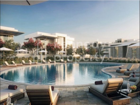 Corner Plot I No Commission I Special Offer