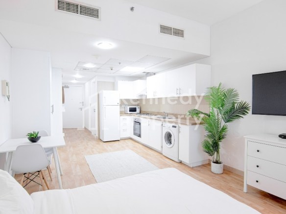 Upgraded | Fully Furnished | 12 Cheques Available