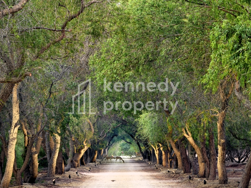watermark-kennedy-property
