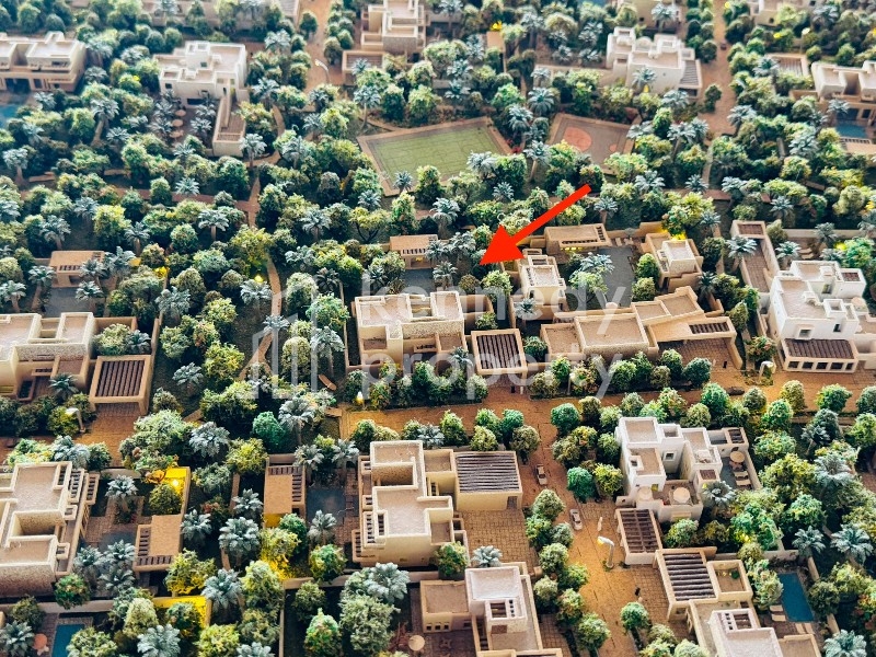 Single Row | Corner | Park View | 8