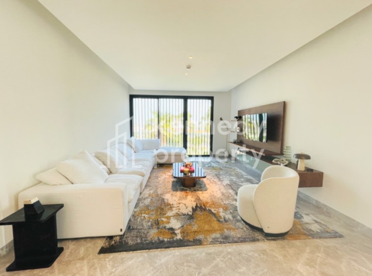 Direct Mangrove View | Single Row | Premium Finish