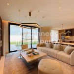 Lowest Premium | Single Row | Premium Dark Finish